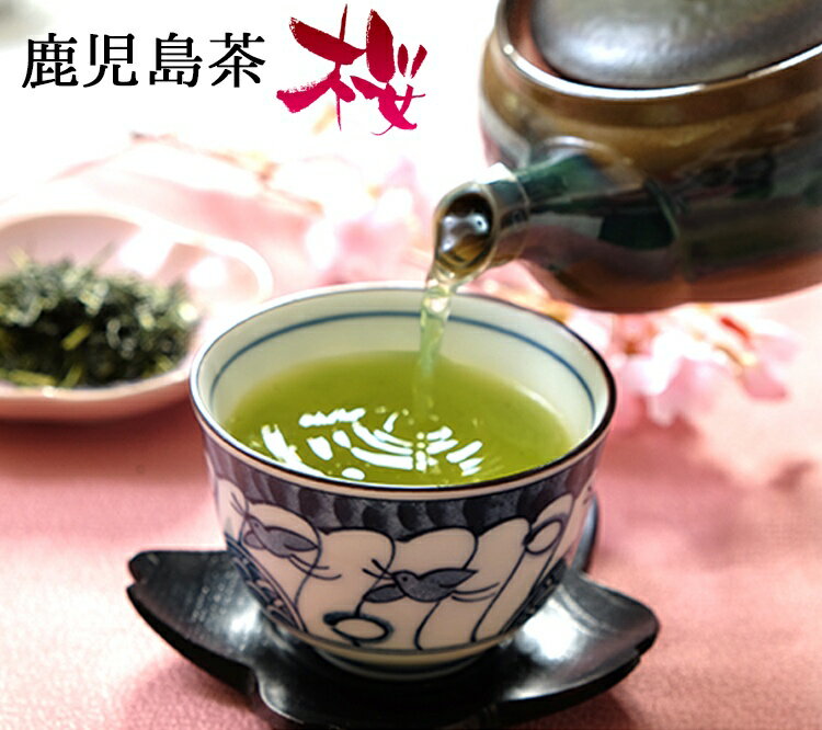 お茶 鹿児島茶（桜）100g 送料無料 (