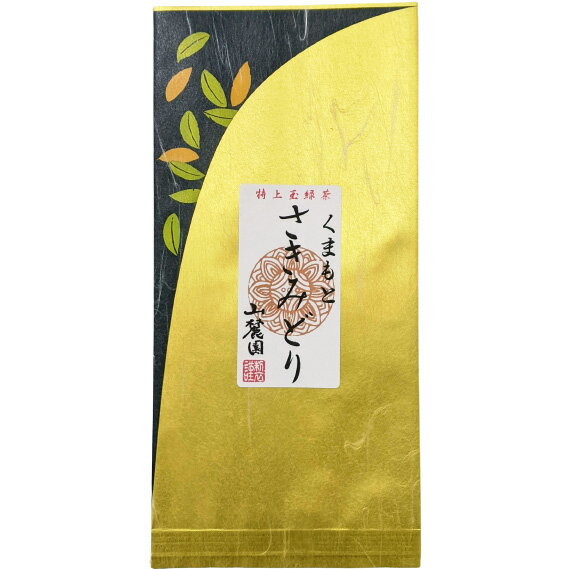 【 半額 】 熊本玉緑茶 さきみどり 100g 2023年産 深蒸しでない、ちょっと渋めのお茶 【 お茶 新茶 緑茶 茶葉 ぐり茶 玉緑茶 煎茶 日本茶 お茶っぱ】