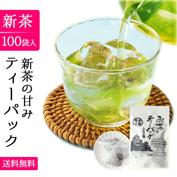 2023 新茶 緑茶 ティーバッグ お茶 ティーパック 2.5g×100個 濃い カテキン【2023年 令和5年産】水出し お湯だし ぐり茶 熊本産一番茶100％！訳あり 送料無料 プレゼント【 100p 100袋 100包 1000円 ポッキリ 】【緑茶 茶葉 煎茶 日本茶 玉緑茶】冷茶 激安