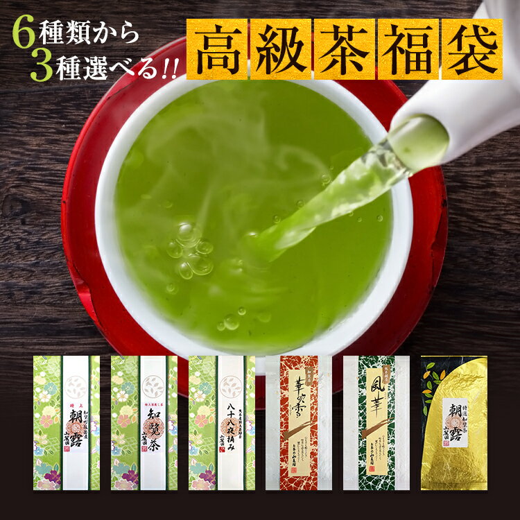 お茶 プレゼント 2023 ギフト 茶通も唸る！選べる高級茶福袋 100g×3個 300g ギフト 送料無料 特上 あさつゆ さえみどり 知覧茶【 新茶 茶 内祝 お供え 香典返し 3000円代 5000円 極上 緑茶 茶葉 ぐり茶 お茶の葉 お茶っぱ お茶っ葉 葉 】