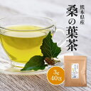 熊本県産 100％ 桑の葉茶 ティーバッグ 3g×40包 (120g) 桑の葉 国産 無農薬 桑茶 ティーパック 送料無料 糖が気になる方に ノンカフェイン 無添加 ナノプラスチックが溶出しない食品由来のティーバッグ 環境と身体に◎