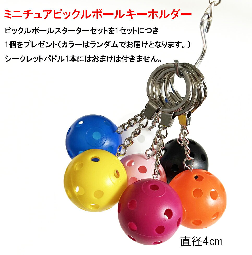 Sansaのキーホルダー付き ピックルボール パドルセット 2本のグラスファイバーパドル + ボール4個 + 収納バッグ ラケット｜アングル2