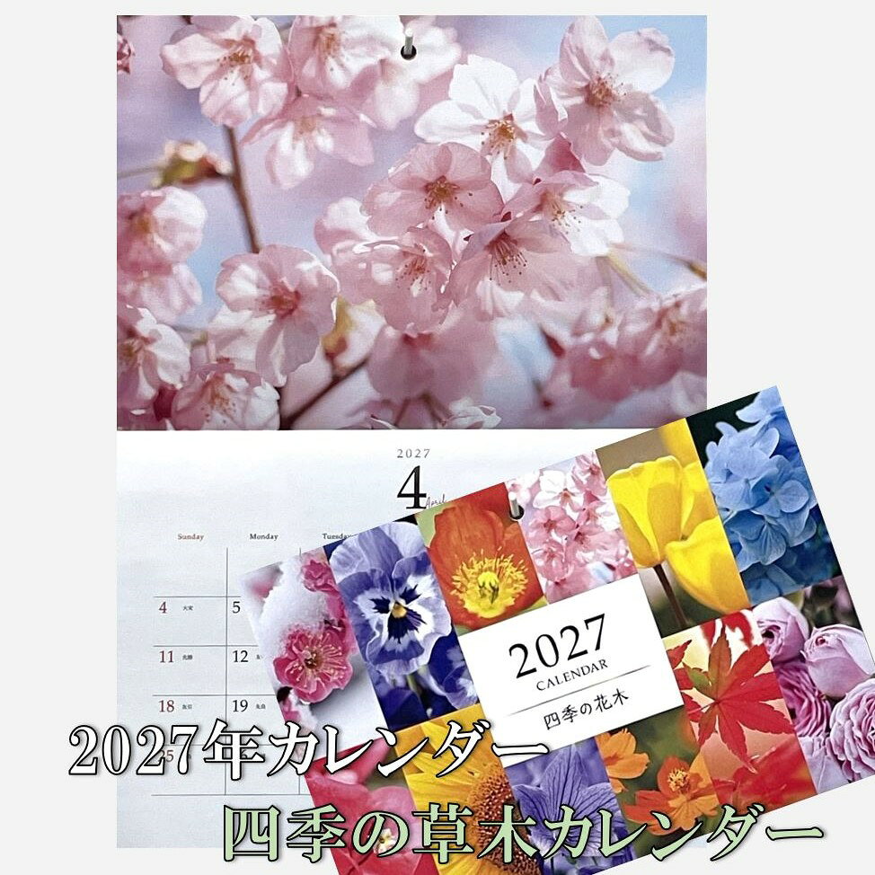 【楽天1位】 壁掛けカレンダー カレンダー 2027年 四季の花木 カレンダー A3カレンダー