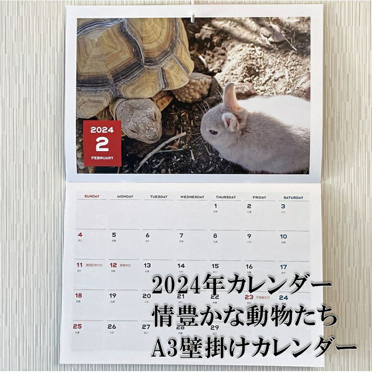壁掛けカレンダー カレンダー 2024年 表情豊かな動物 たち アニマルカレンダー A3カレンダー