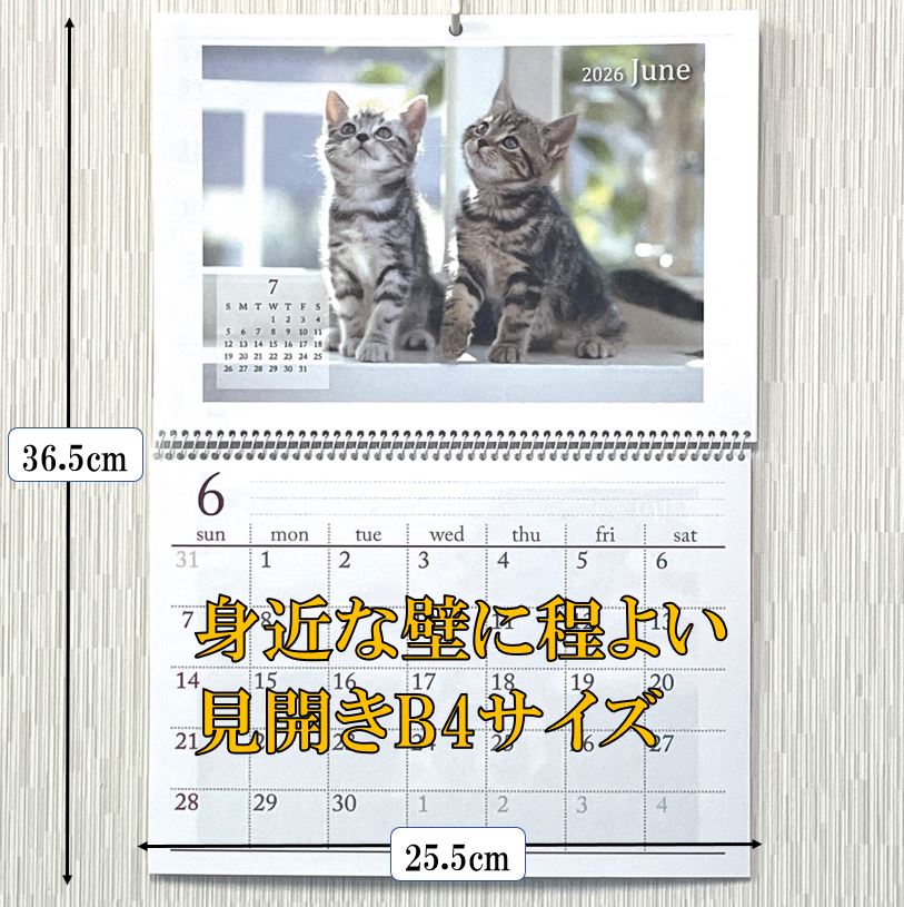 ネコ 壁掛けカレンダー カレンダー 2026年 可愛い 猫 の カレンダー B4
