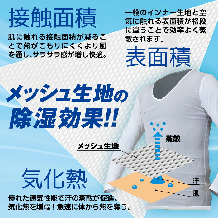 サンプル画像3