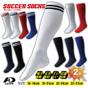 【スポーツの秋SALE13%OFF】【メール便送料無料】サッカーソックス 2足組 フットサル サッカー ソックス ダンス ユニフォーム 抗菌防臭 吸汗速乾 メン...