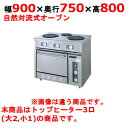 【受注生産品・送料無料】タニコー 電気レンジ/電気テーブルレンジ/電気ローレンジ (50/60Hz) 幅900×奥行750×高さ800mm