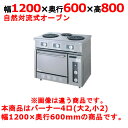 【受注生産品・送料無料】タニコー 電気レンジ/電気テーブルレンジ/電気ローレンジ TER-120 幅1200×奥行600×高さ800mm(50/60Hz)(2)