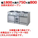 【受注生産品・送料無料】タニコー 電気レンジ/電気テーブルレンジ/電気ローレンジ TER-S-180A 幅1800×奥行750×高さ800mm(50/60Hz)