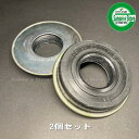 ミツビシ純正 中耕ロータリーKR36 爪軸オイルシールTCD 2個セット・0955-3062-130x2