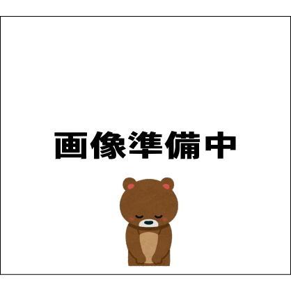 東亜重工 KK31 左右各1本(偏心爪強力タイプ) 計2本