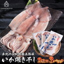 イカ開き干し 2杯×3パック入り 三鮮魚 海産物 贈答 干物 真イカ(4)