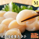 特大ホタテMサイズ 500g ほたて玉冷 北海道産 三鮮魚 海産物 贈答 貝柱 刺身 帆立 ホタテ 冷凍 hotate ほたて