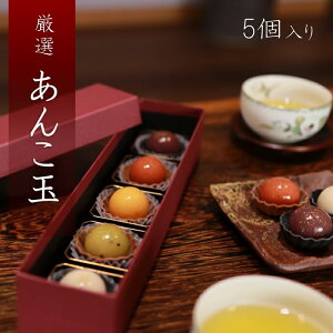 【丁寧に煮詰めたフルーツを白あんで包んだ上生菓子 】 5個入和菓子 ギフト 高級 贈り物 国産 土産 北海道産あんこ 限定 工房直送 お祝い 誕生日 信州 あんこ 山山 手作り プレゼント お買い物マラソン 喜ぶ 楽天スーパー 母の日 入学 引っ越し