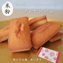 【米粉100%超しっとりフィナンシェ】 グルテンフリー 北海道産バター 手作り 贈り物 信州 母の日 工房直送 手土産 プレゼント 贈答 山山 小麦粉不使用 プ...