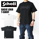 Schott Vbg TVc BASIC LOGO S TVc Y 782-4934002