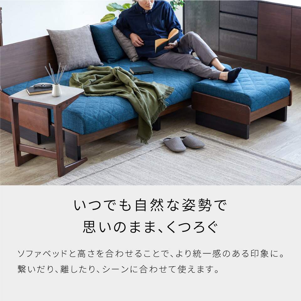 DRTY-2 60スツール スツール ソファー ソファ 日本製 1人掛け おしゃれ オットマン リクライニング 洗える サイドスツール 60 幅60 国産 特許製品採用 完成品 イス チェア 日本製 産地直送価格 卸価格 [PR] P=10 [3]