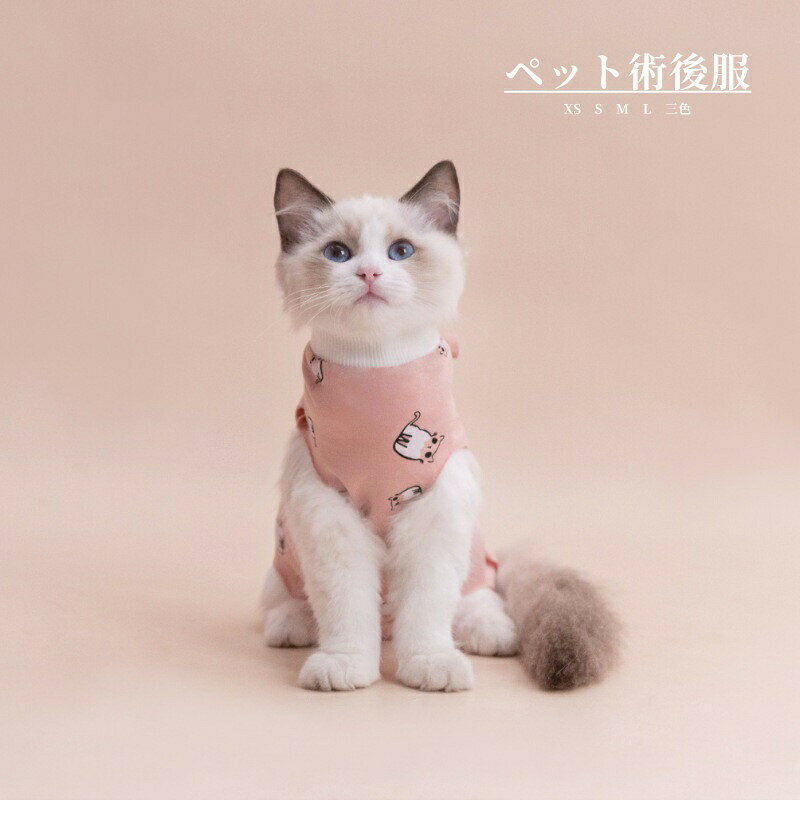 �Ѹ��� �ڥå�ǭ�ѽѸ奦���� ʢ���ν����ݸ� ���Ӥ��ɻ� ���ꥶ�٥����顼������ ��ǥ��� �����ݸ� ���Ӥ� �����ߤ��ɻ� ����� �ˤλ� ��� ���� ���λ�