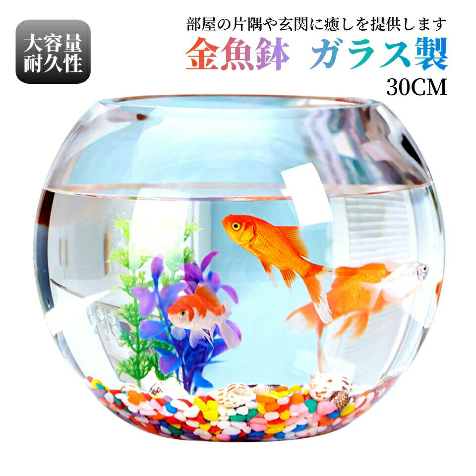 30cm 金魚鉢 ガラス製 透明 丸 鉢 和風 可愛い ミニ水