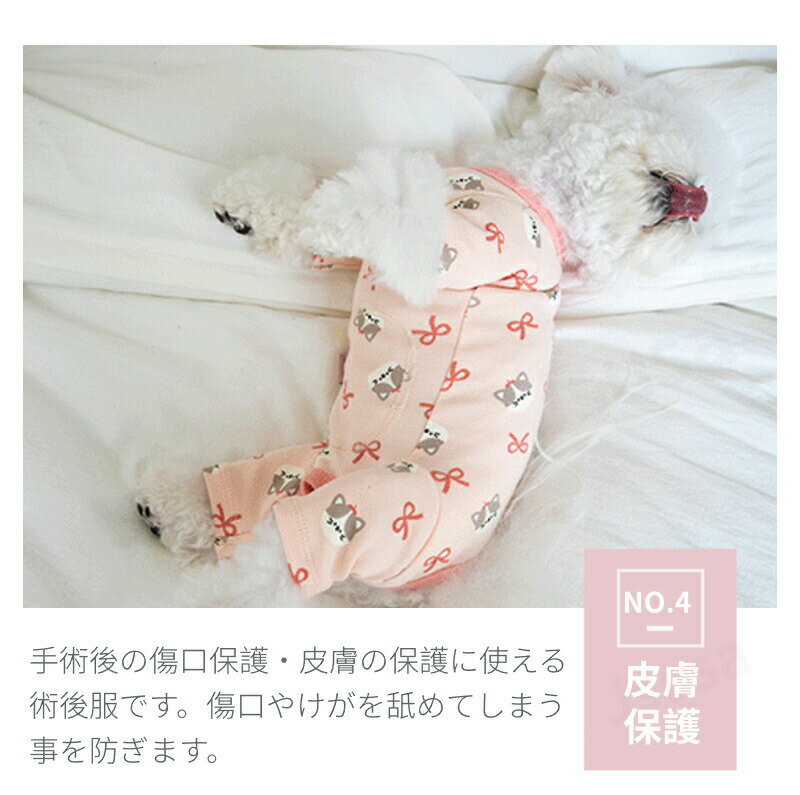 �� �Ѹ��� Ĺµ�͵� ���С������� �Ѹ��� �����Ӥ�ʤ� ��ǥ ���� �Ѹ奦���� �˽����ѽѸ奦���� �����ݸ� ���Ӥ� �����ݸ� ����ѡ��� �Ĥʤ� �����륷������ ���� �� �Ȥ��� �ɴ�