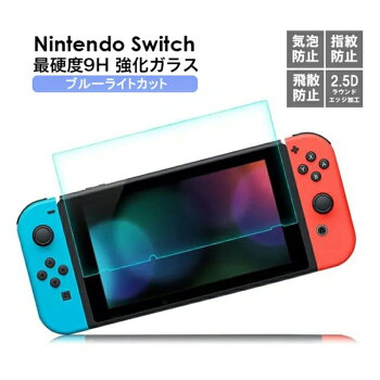 nintendo switch 9H 饹ե ֥롼饤ȥå ե ˥ƥɡ å ݸե ൡ ...