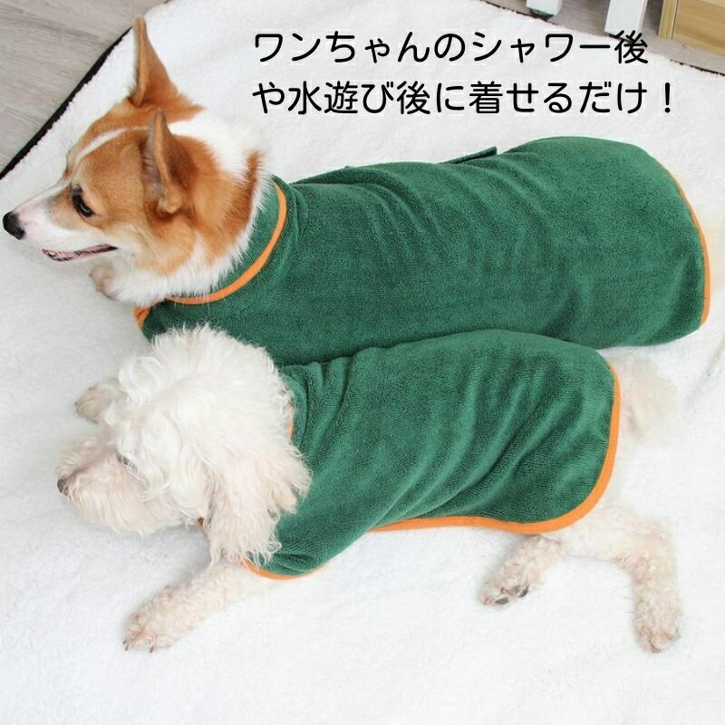 �ڥå��� �Х������� ������ ������ �淿�� ����Х������� �ۿ�®�� ���ѥ����� ǭ�� ���å��ơ��� �ڥå� �ͥ� ������ �Х������� �Х����� �İ��� ��ޯ�� ̵�� ����ץ� ����Ϥ ��ͷ�� ���� �����ȥɥ� ���� ��ʬ�ۼ� �䤨�к�