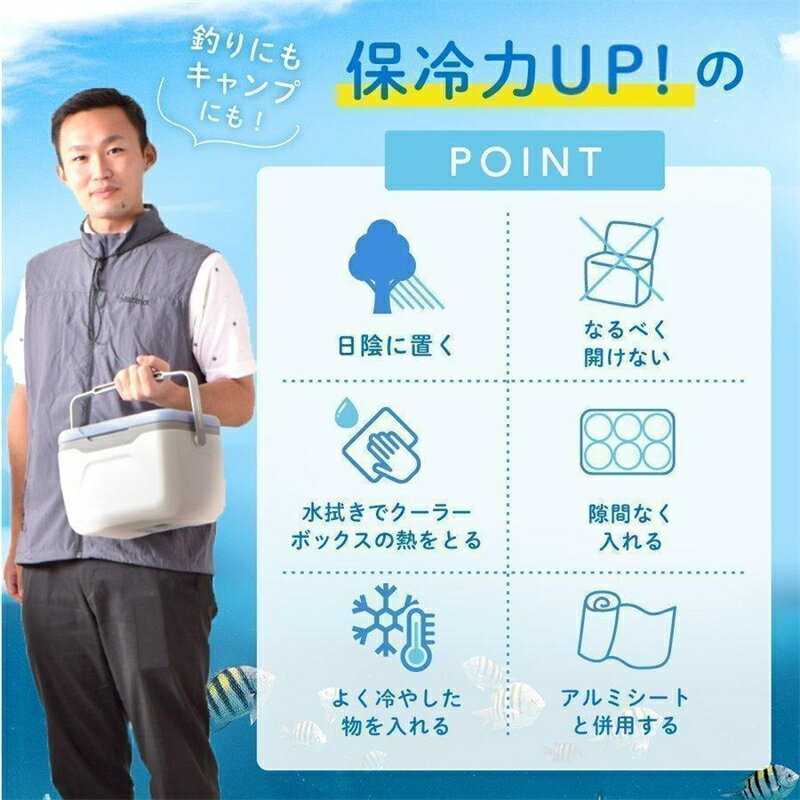 お中元 クーラーボックス 小型 5.5L おしゃれ かわいい BBQ ピクニック レジャー ...