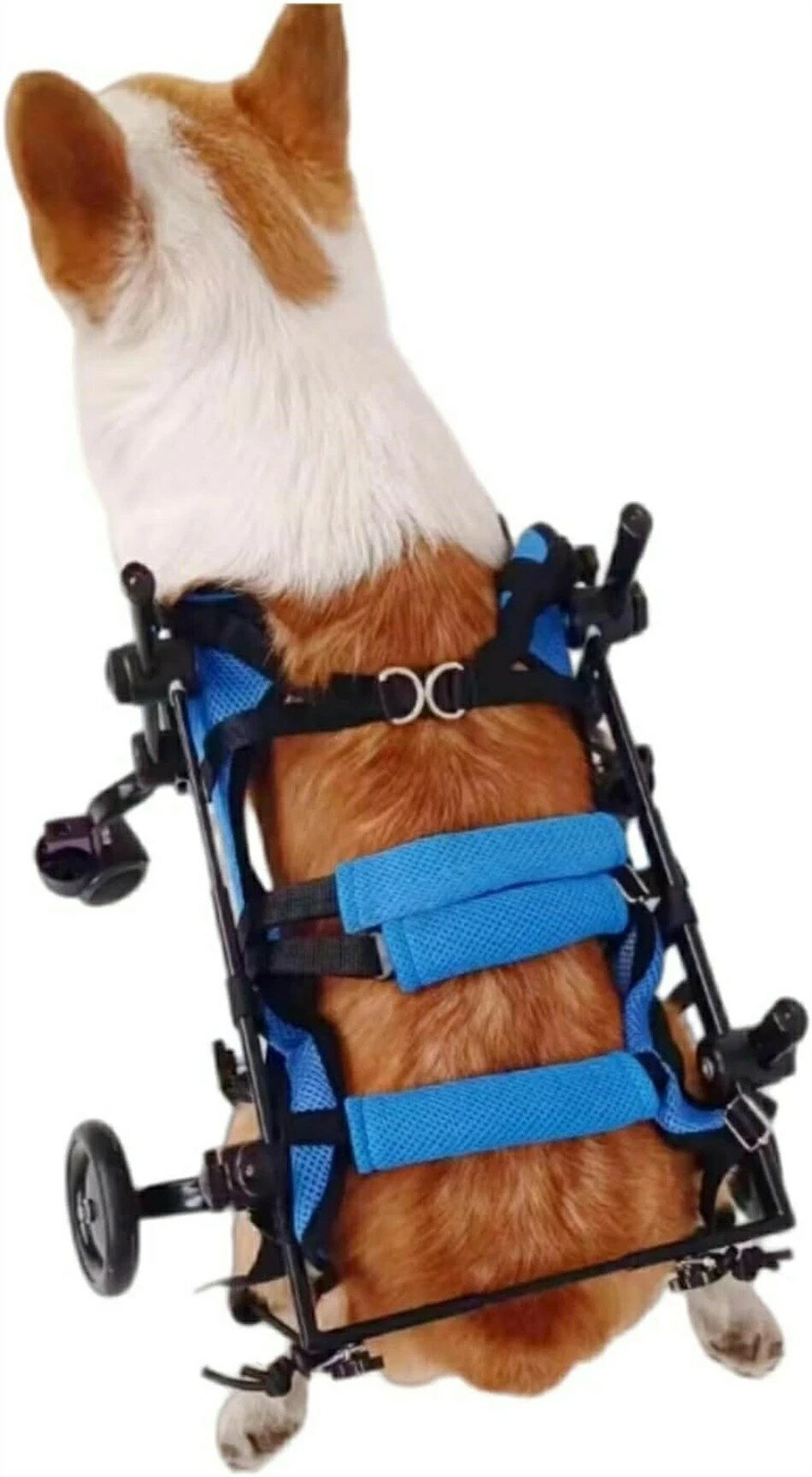 犬用車椅子 犬用歩行器 後ろ足 ペット車椅子 歩行補助 犬用カート ドッグウォーカー　 リハビリ用歩行補助具 シニアドッグ サイズ調整可能 お散歩 補助輪 犬用介護 コーギー 柴犬 4輪 犬用補助 3