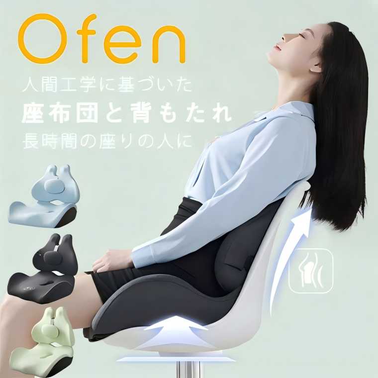 人体工学腰ケア座布団背もたれ 2点セット 姿勢矯正 クッション 低反発 クッションセット 背もたれ 低反発 長時間座り ストレス解散 疲れにくい オフィス、車...