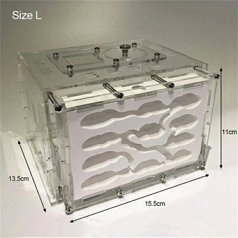 �ǰ���ĩ���� ���饱���� ������� �� �ѻ� ���å� �й� ������� ��¥��ꥢ L������ ��ͳ���� ������ ���� �� ���饻�å� �¸����å� �ѻ� �Ƶ٤� �ؽ��� �����⤷���¸�