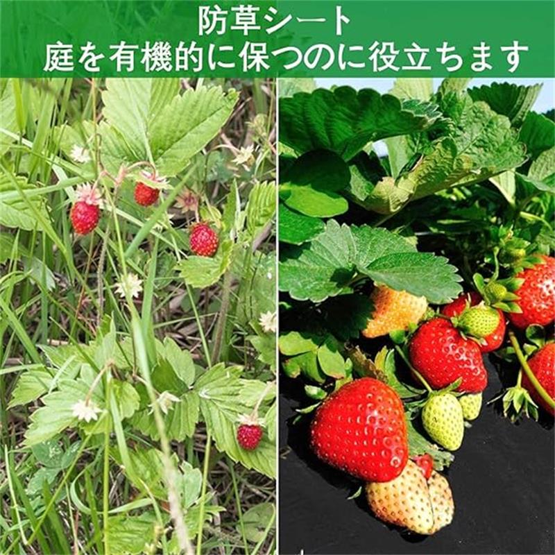 防草シート 厚手 耐用年数5 雑草対策防止 高透水 高耐久 高密度 不織布 UV耐候剤 ...
