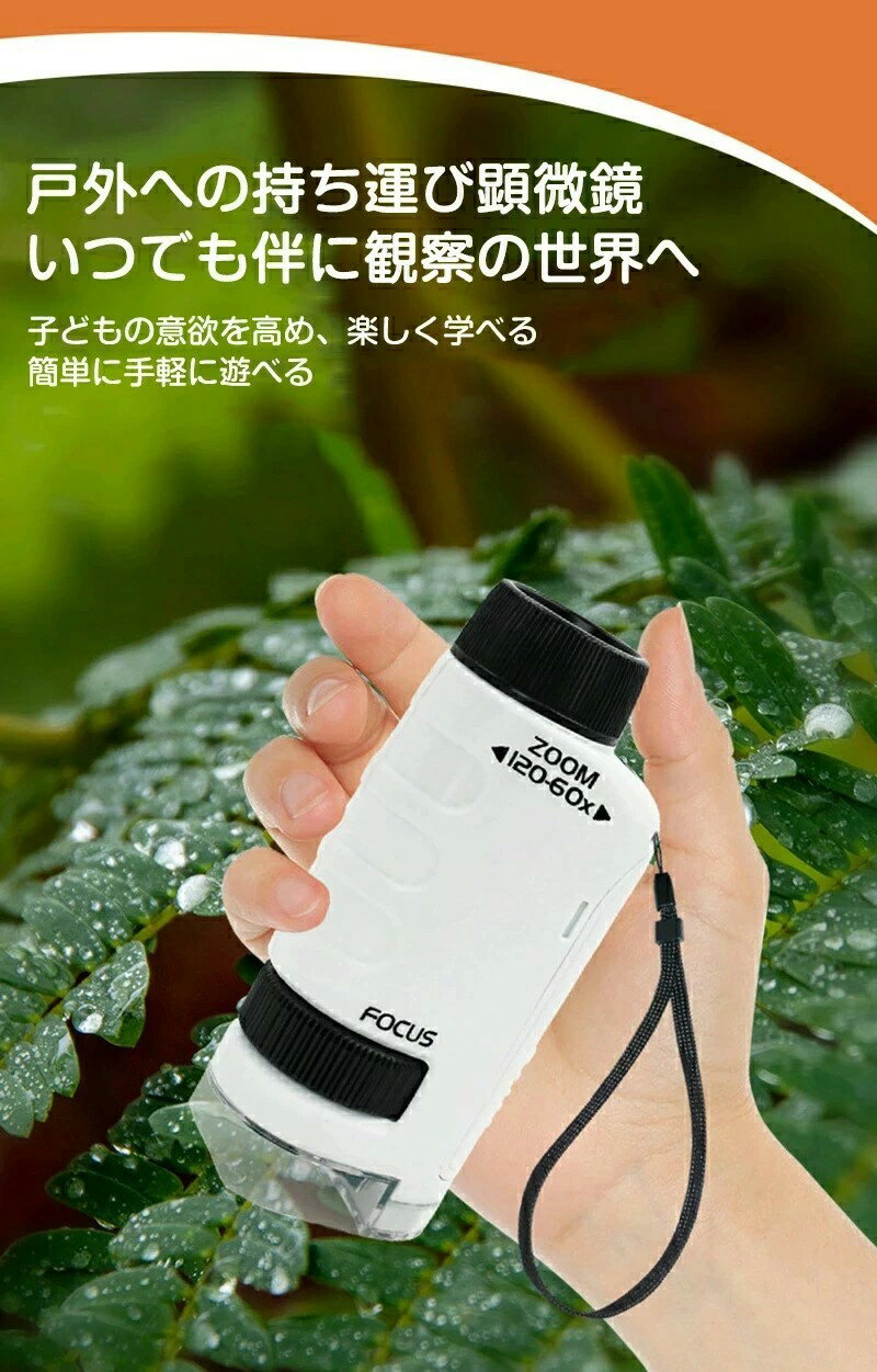 ��2025�͵� �۸����� ������ �ߥ˸��������å� �ϥ�ǥ������� 60��120�ܳ��� �Ҷ��� ���ޥۥۥ���� ���Ǥ��������� LED�饤��ͭ�� �ʼ��ݾ�