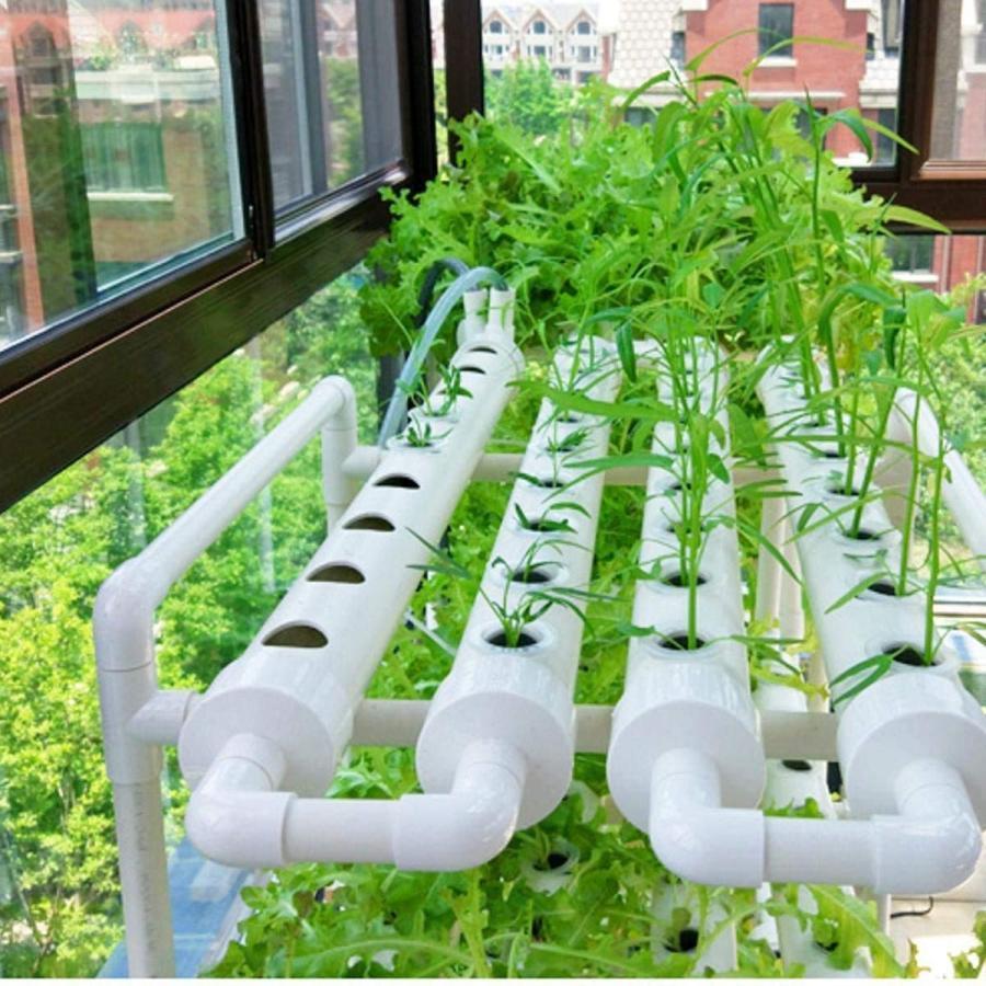水耕栽培キット 水耕栽培 植物 野菜用具 植物...の紹介画像2