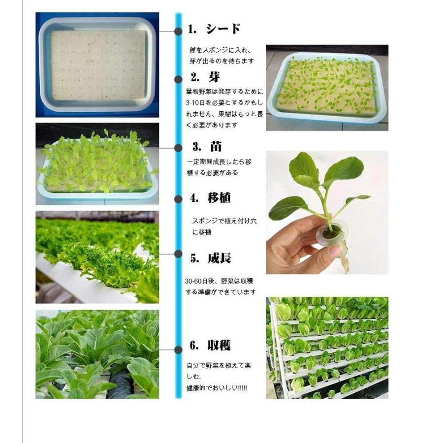 水耕栽培キット 水耕栽培 植物 野菜用具 植物...の紹介画像3
