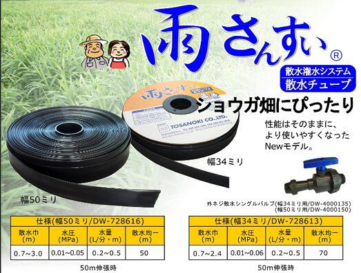 �����󤹤��ѳ��ͥ��Х��DW4000135��34mm��25��1����������ͤ��ˡ��ں�����