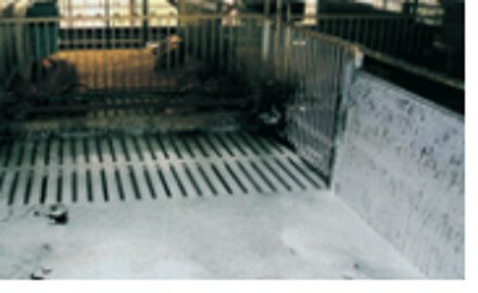 �ݻ�����ꡡM���ե�����Υ���