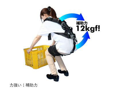 �������ȥ����ġ�AeroBack�����󥰥롡�����