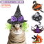 猫犬ハロウィーン飾り帽子、ペット用魔女の帽子緑かつら付き、かぼちゃ ハロウィン、クリスマス、パーティー用仮装衣装 犬 ハロウィン 猫 ハロウィン 衣装 帽子 帽子 猫 犬 子犬 送料無料