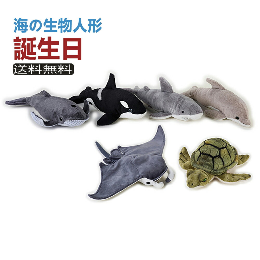 送料無料水族館 海の生物 さめ 鮫 シャーク じろ ホオジロザメ 危険ザメ 危険鮫 魚 さかな サカナ 縫いぐるみ 動物 どうぶつ 赤ちゃん ベビー こども 子ども 子供 初節句 内祝い 誕生日 プレゼント クリスマス 人形 おもちゃ アニマル