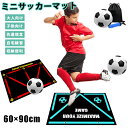サッカーマット サッカー練習用マット トレーニングマット 90x60cm 自宅 室内 部活 トレーニングマット サッカードリブル 練習 自主練習 屋内サッカー訓...