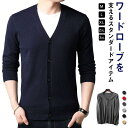 ニットカーディガン メンズ フォーマル ビジネス カーディガン ウール混 Vネック 長袖 秋服 ボタン 薄手 羽織り ライトアウター イン