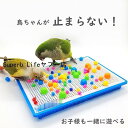 鳥のおもちゃ インコ おもちゃ バードトイ 鳥 小鳥 ストレス解消 鳥用玩具 プラスチック オカメインコ セキセイインコ ルリゴシボタンインコ ウロコインコ