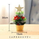 クリスマス 飾り ミニクリスマスツリー おしゃれ オーナメント デコレーション お祝い プレゼント 置物 パーティーグッズ イベント おもちゃ クリスマス用品