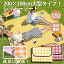 レジャーシート 大判 200x200cm 折りたたみ ピクニックマット 防水 撥水 大きい 6人 8人 軽量 お花見 遠足 おしゃれ 運動会 キャンプ