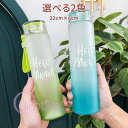 水筒 夏 定番 出かけ シンプル おしゃれ 大人 運動 軽い 通勤 透明 通学 直飲み 携帯用 大容量 子供 運動 便利 480ml