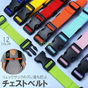 チェストベルト リュックベルト 大人用 子供用 メンズ レディース 肩ズレ防止 肩ベルト 固定紐 バックル リュックサック バックパック カラバリ豊富