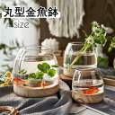 金魚鉢 丸型金魚鉢 水槽 オールインワン水槽 飼育水槽 ガラス メダカ 水槽 メダカ鉢 透明 テーブル アクアリウム ボウル 観葉植物 水耕栽培プランター 転倒防止