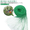 防鳥防蝶ネット おてがる蝶鳥ネット 長さ約10m 5m 果樹栽培にピッタリ 細かい目合いでも超軽量農園芸用資材 果樹用 直がけ防鳥網 ベランダの鳥よけ