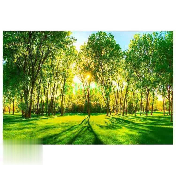 ウォールステッカー 壁紙 シール 風景ステッカー 壁シール インテリア おしゃれ 防水 クリエイティブ装..